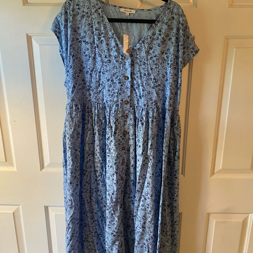 Madewell Blue and White Buttoned Midi Sundress